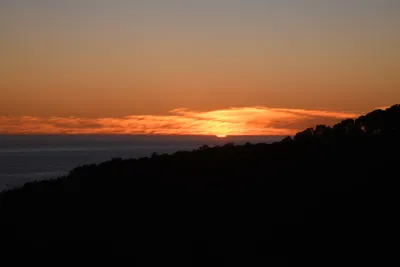 DSC_2560 (Large).JPG